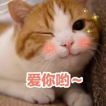 男主人出差回家 猫咪立马飞扑抱紧紧 一脸委屈:不许你离开朕了!