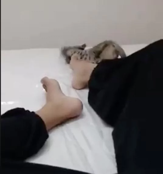小屁喵“大闻主人臭脚” 下一秒“灵魂出窍” 推开臭脚往旁边一闪!
