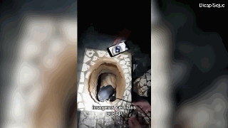 囚犯马桶下挖地道越狱 “只差一步”却窒息而死!