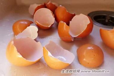 鸡蛋壳的10个小妙用 以后可别再傻傻丢掉啦~