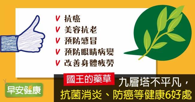 九层塔不平凡 抗菌消炎、防癌等健康6好处