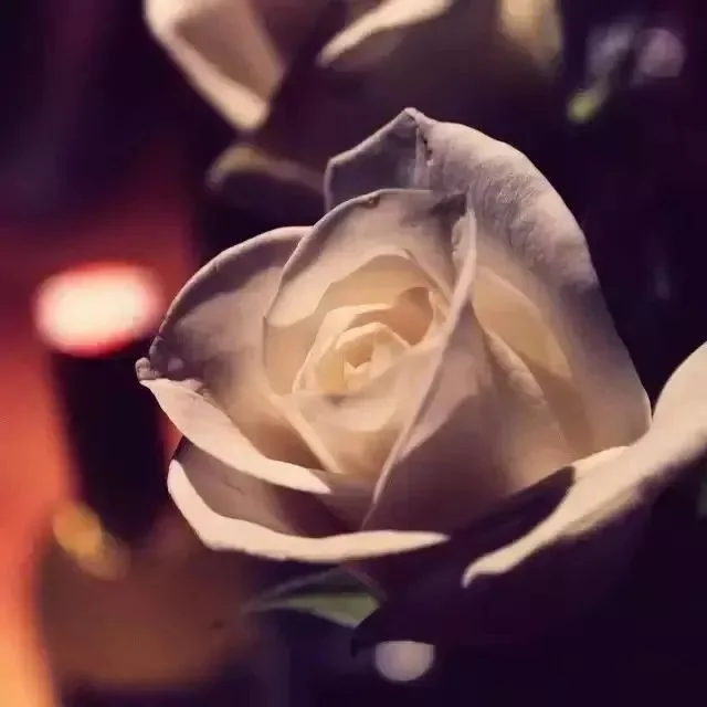 经典短篇:富翁的遗言