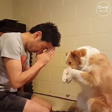 狗狗模仿主人 超默契 不笑都难!
