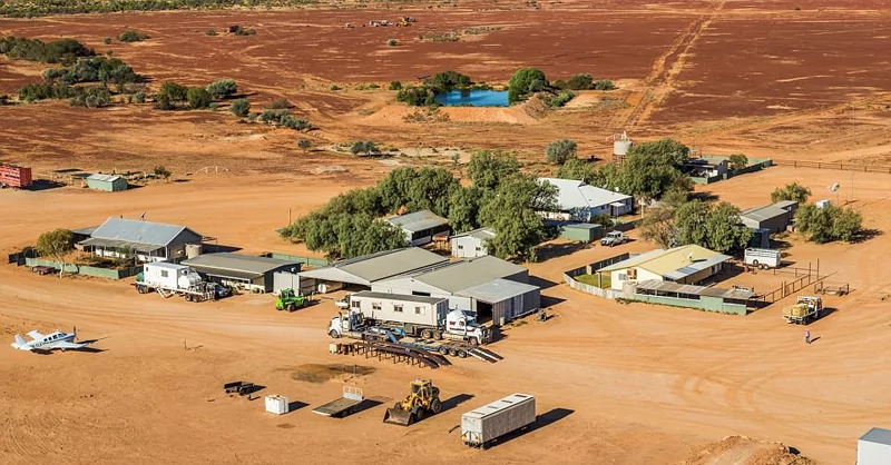 澳牧场面积相当“半个比利时” 养殖近2万头奶牛!
