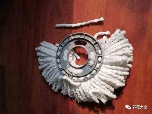 用完的塑料瓶别扔 这样一改造 就是自动浇水神器
