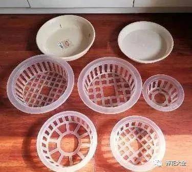 用完的塑料瓶别扔 这样一改造 就是自动浇水神器
