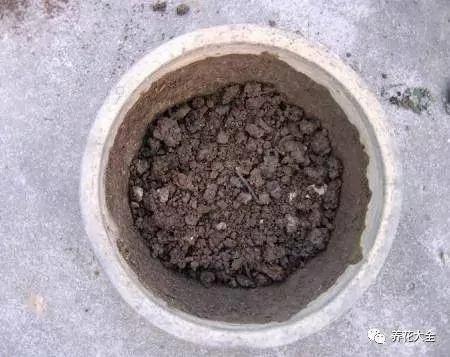 用完的塑料瓶别扔 这样一改造 就是自动浇水神器