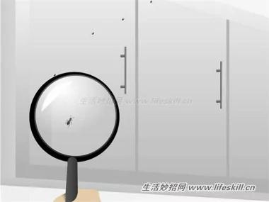 4招消灭蚂蚁 从此跟蚂蚁的骚扰说拜拜!