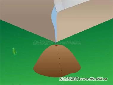 4招消灭蚂蚁 从此跟蚂蚁的骚扰说拜拜!