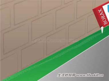 4招消灭蚂蚁 从此跟蚂蚁的骚扰说拜拜!