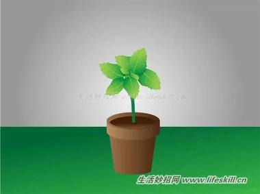 4招消灭蚂蚁 从此跟蚂蚁的骚扰说拜拜!