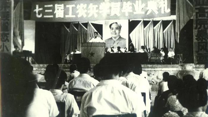 每个考生的档案中都有一份政审材料