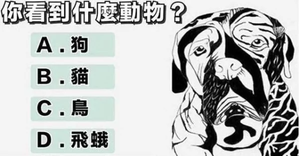 测你的隐藏性格 你最先看到的动物是什么?