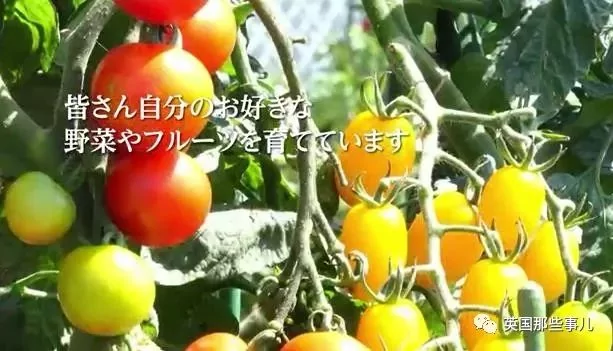 85岁大爷:“钱花光那天 就是我的死期” 然而万万没想到…