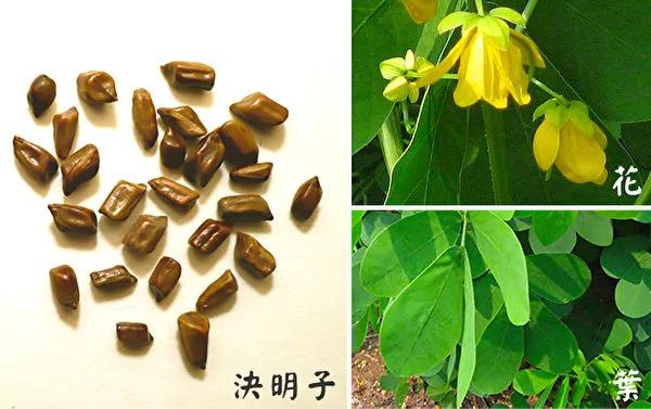 最平民药材:决明子护肝明目、降血压5大实用功效