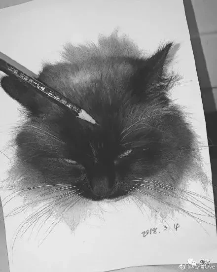 画猫有什么难的?!哈哈哈笑喷~!