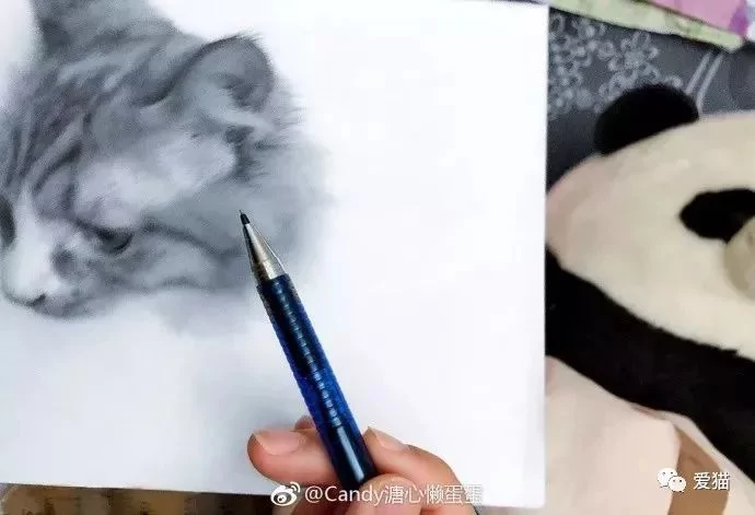 画猫有什么难的?!哈哈哈笑喷~!