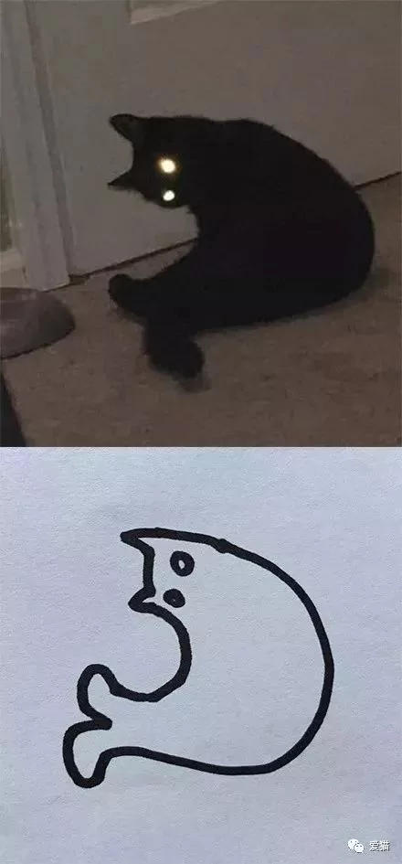 画猫有什么难的?!哈哈哈笑喷~!