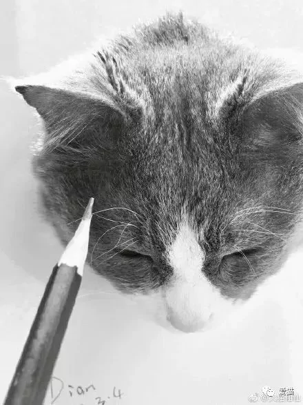 画猫有什么难的?!哈哈哈笑喷~!
