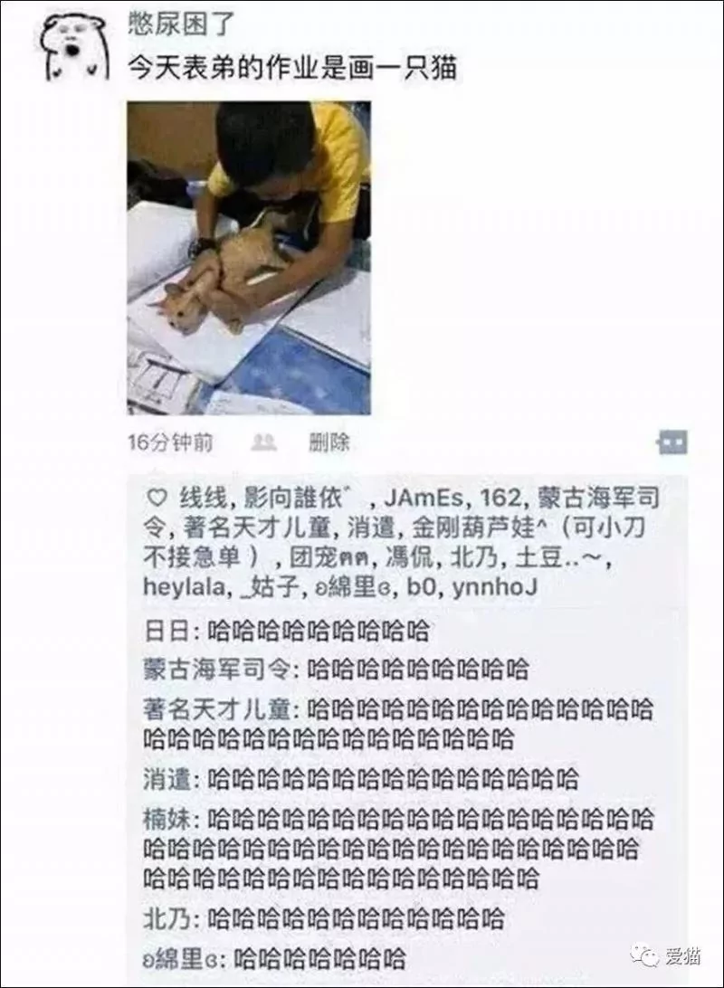 画猫有什么难的?!哈哈哈笑喷~!