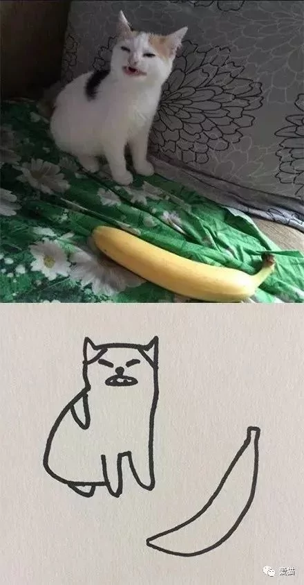 画猫有什么难的?!哈哈哈笑喷~!