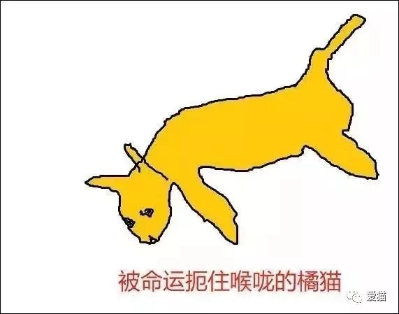 画猫有什么难的?!哈哈哈笑喷~!