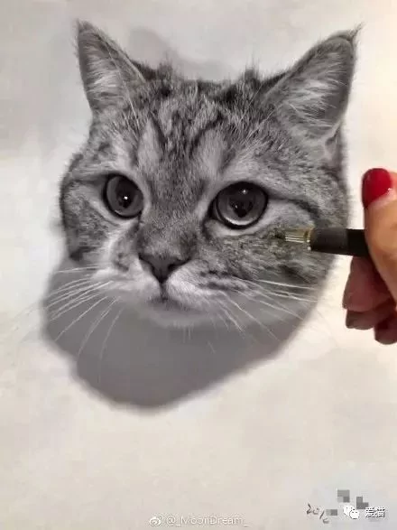 画猫有什么难的?!哈哈哈笑喷~!