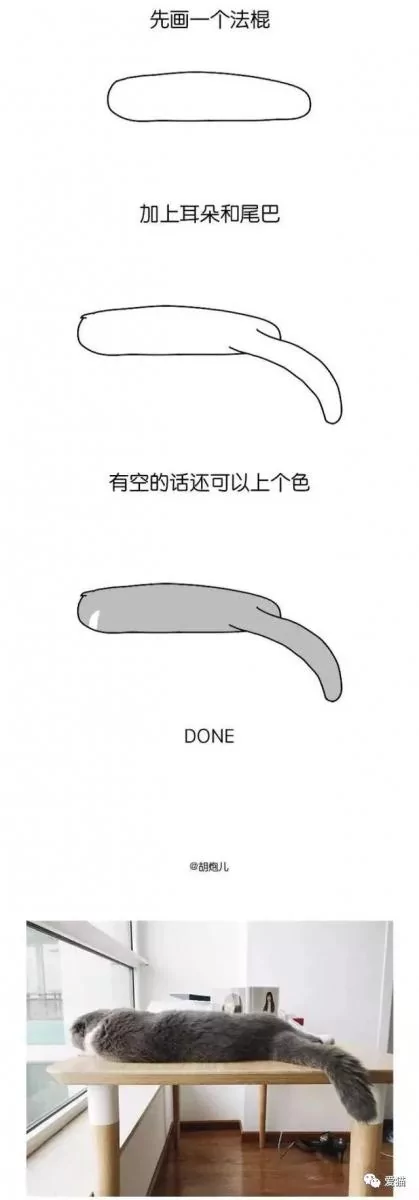 画猫有什么难的?!哈哈哈笑喷~!