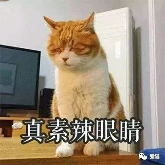 画猫有什么难的?!哈哈哈笑喷~!