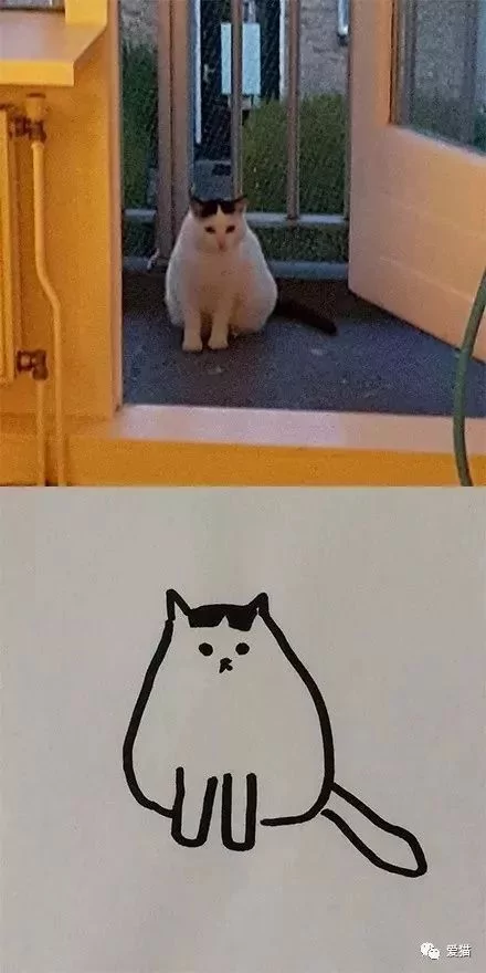 画猫有什么难的?!哈哈哈笑喷~!