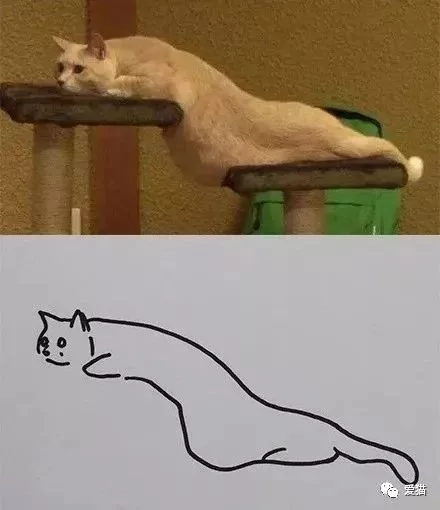 画猫有什么难的?!哈哈哈笑喷~!