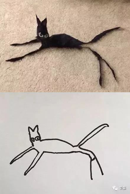 画猫有什么难的?!哈哈哈笑喷~!