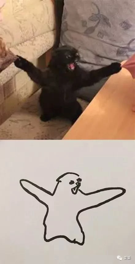画猫有什么难的?!哈哈哈笑喷~!