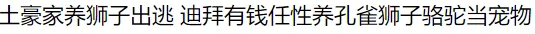 上百只孔雀在温哥华民居安家 他简直要疯了…