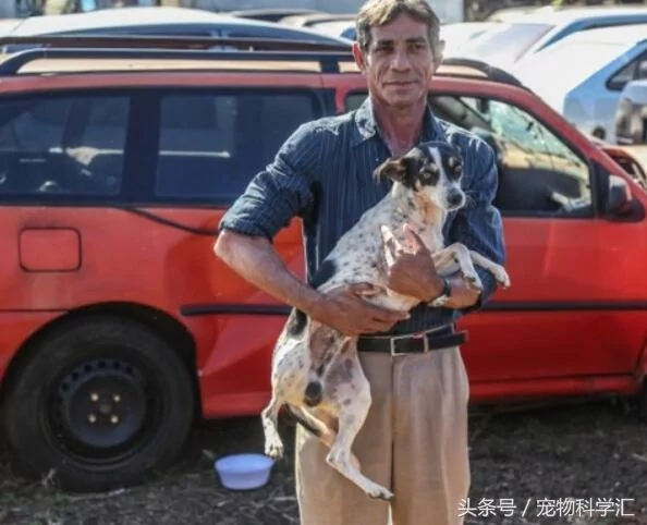 流浪狗守护即将被销毁的汽车10个月 员警感动!