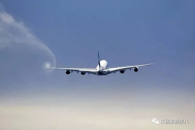 靠假证上岗 他居然开了五年客机载几万乘客…