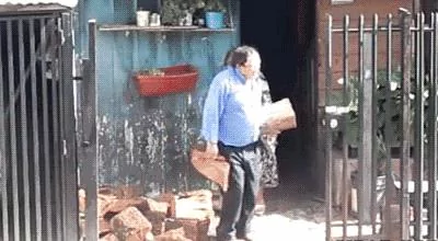 养狗千日 用狗一时 关键时刻金毛和阿拉斯加竟起到这个作用!