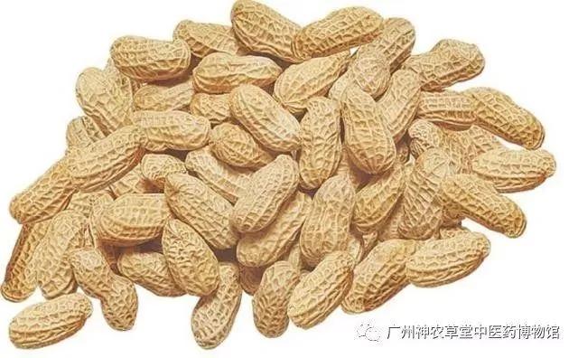 “欲无病 肠无渣 欲长寿 肠常清” 保持肠道年轻有秘诀