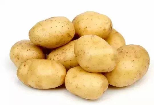 菜贩子从不外传的16个买菜窍门