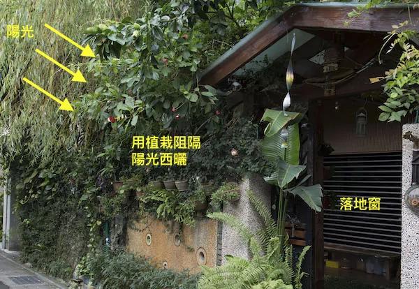 简单居家改造 让西晒住宅降温7度、省下75%电费