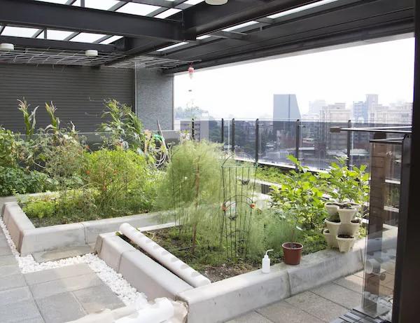 简单居家改造 让西晒住宅降温7度、省下75%电费