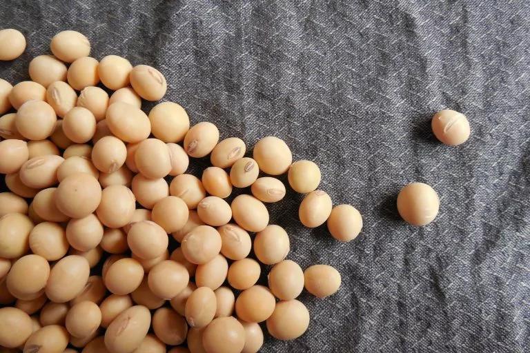 年纪越大就该吃越少?抗老这样吃才对
