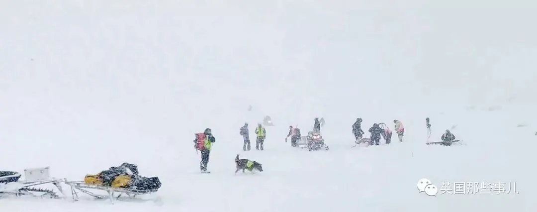 父女登山遭遇雪崩 女儿被深埋4小时后 一人一汪带来了生的奇迹
