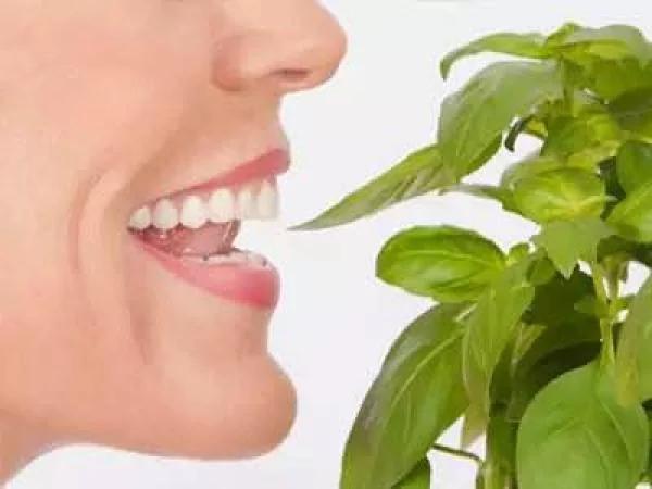 早上起床黄金10分钟 这么做头发变黑、眼睛不花 人更长寿!