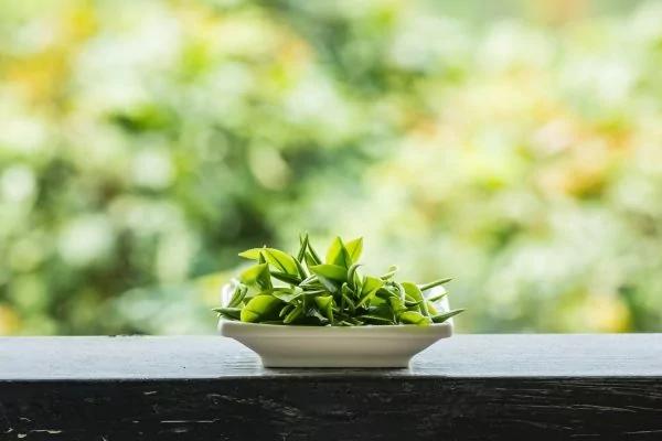 绿茶减重 燃脂助攻队友要加这一味