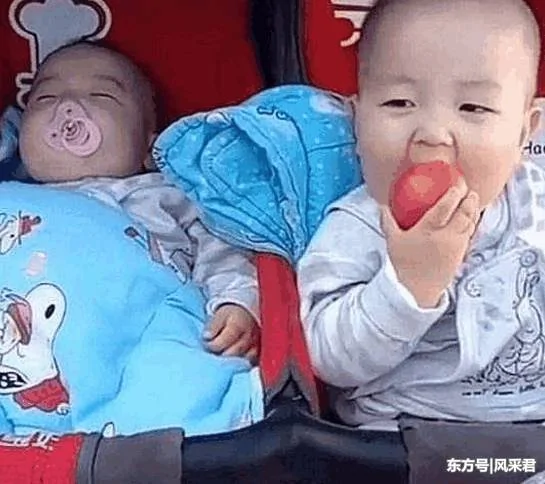 一双胞胎哥哥趁弟弟熟睡 独吞西红柿笑得合不拢嘴 网友:萌翻了