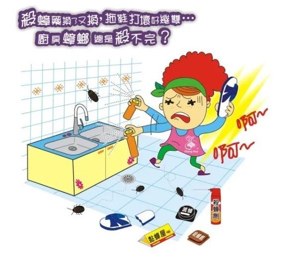 为什么蟑螂总是杀不完?2个“用马桶”坏习惯 让你养出一大堆小强