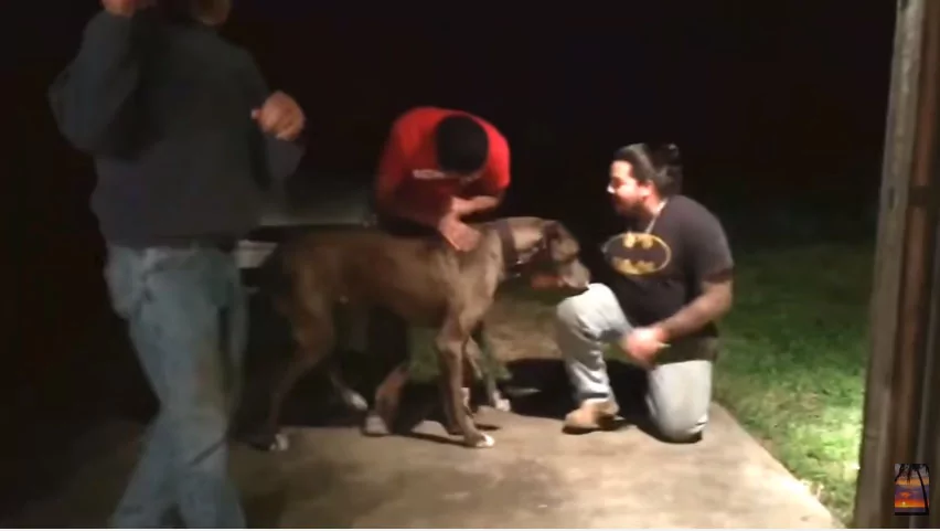失踪2年多的爱犬 突然出现在门外 重逢场面超感人!