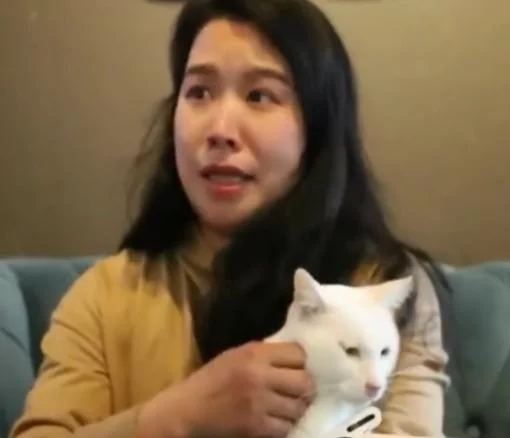 被遗弃的白猫患上抑郁症 初到新家 开心得连连打滚!