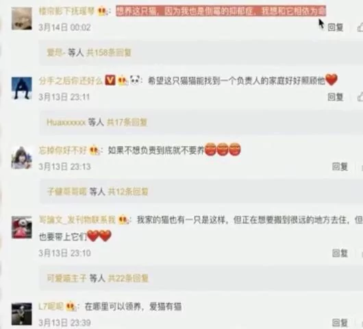 被遗弃的白猫患上抑郁症 初到新家 开心得连连打滚!